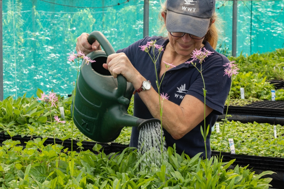 Volunteers helping boost biodiversity in the Severn Vale